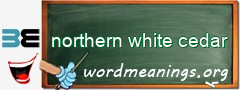 WordMeaning blackboard for northern white cedar